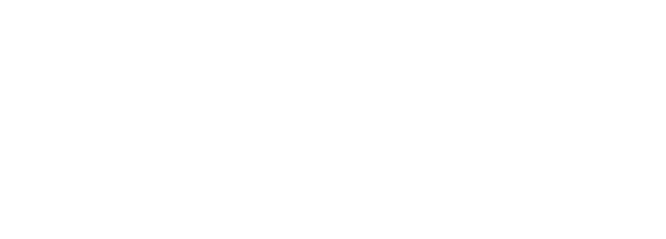 Grupo Insur
