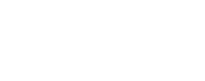 Grupo Insur