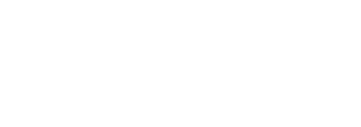 Grupo Insur